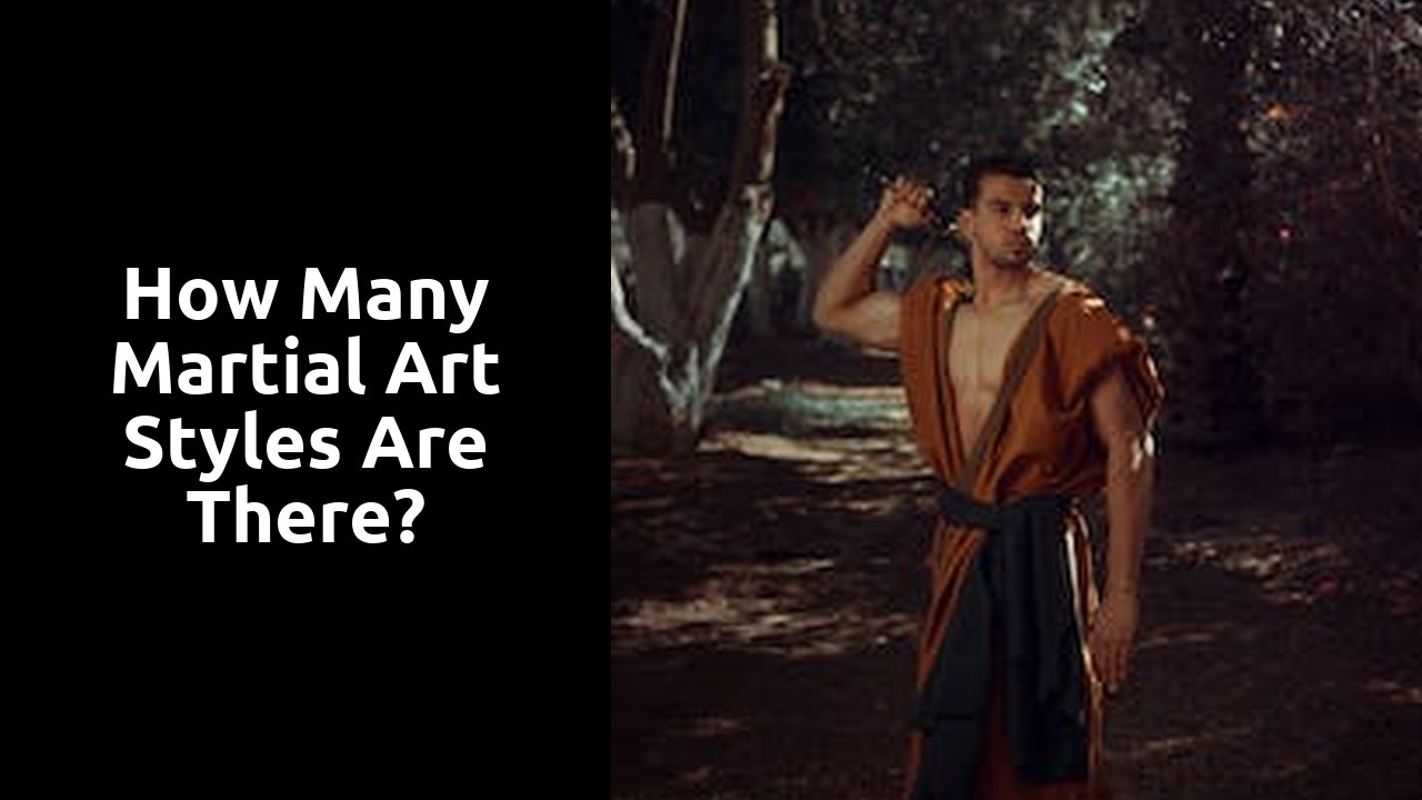 How many martial art styles are there?