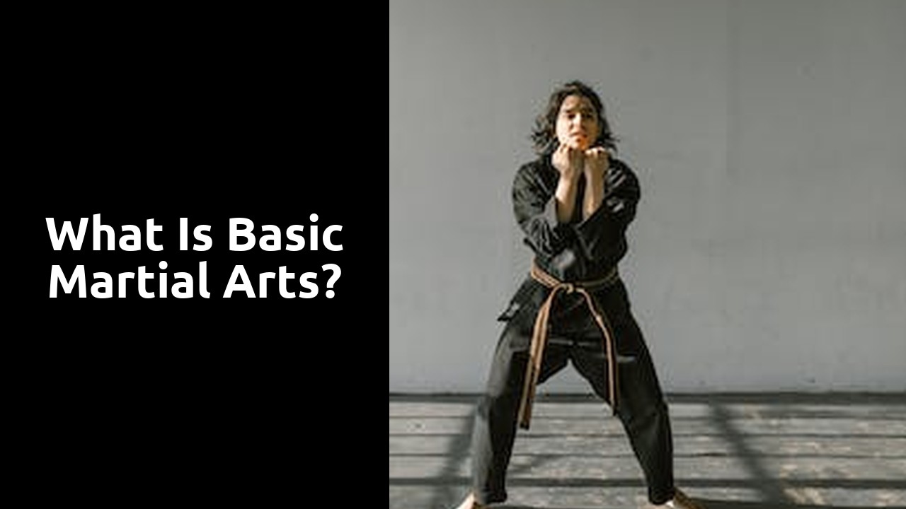 What is basic martial arts?
